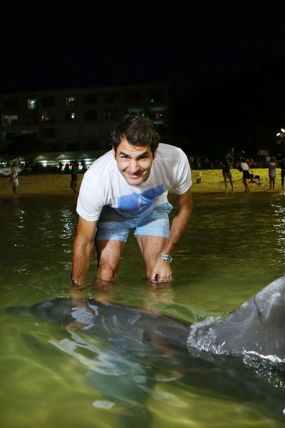 Roger Federer Feeds Dolphins in Brisbane